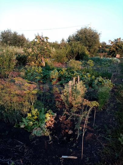 Дача 16 м² на участке 8 сот.