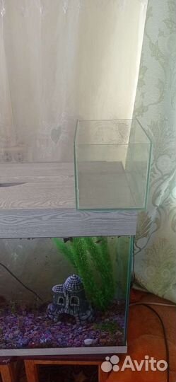 Аквариум