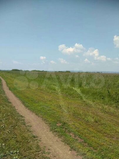 Участок 3 га (СНТ, ДНП)