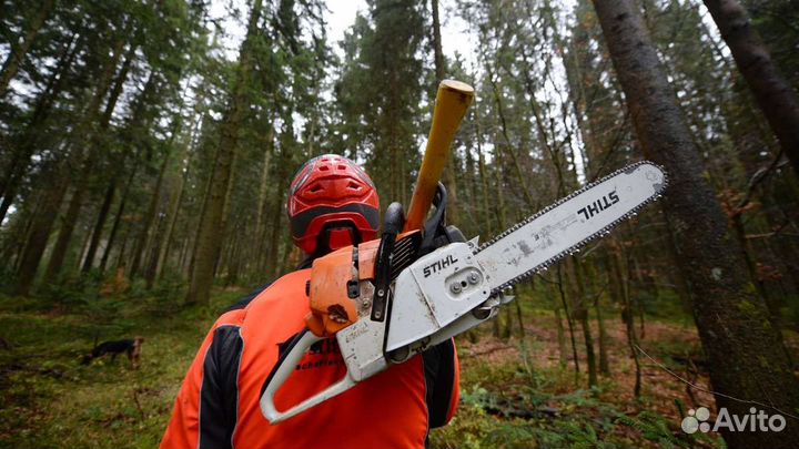 Вальщик леса / раскряжевщик (вахта 30/30)