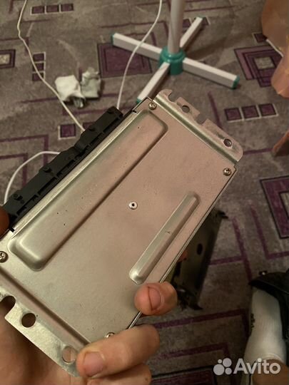 Продам эбу мозги 