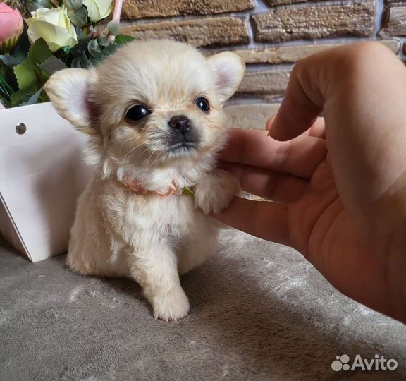 Мальчики красавчики