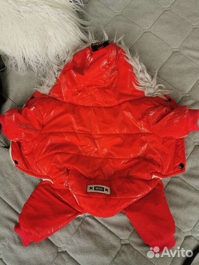 Вещи для собак мелких пород пакетом