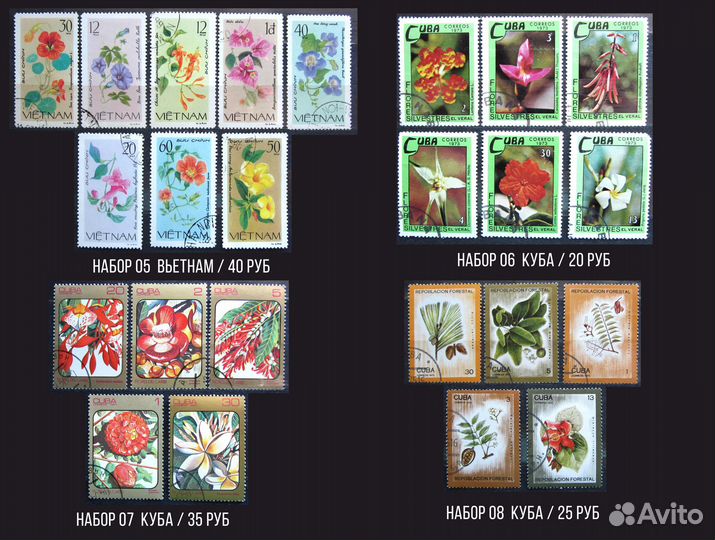 Марки на тему Флора, цветы, растения, кактусы