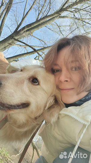 Выгул собак, зооняня, догситтер, уход за животными