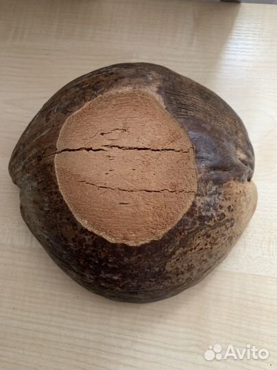 Свеча интерьерная в кокосе