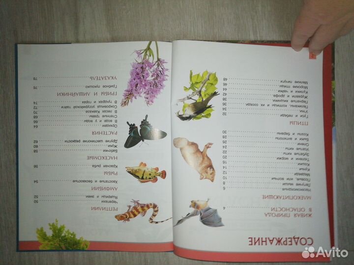 Травина Ирина Владимировна 