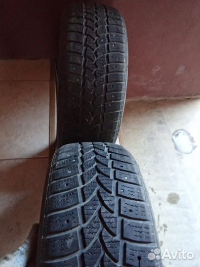 Tigar All Season 3.75/6 R4