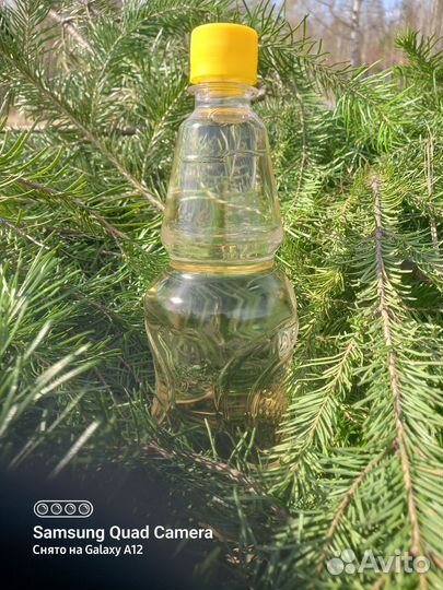 Пихтовое масло