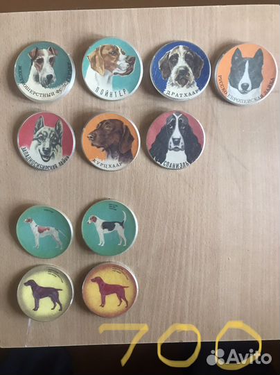 Коллекция значков СССР