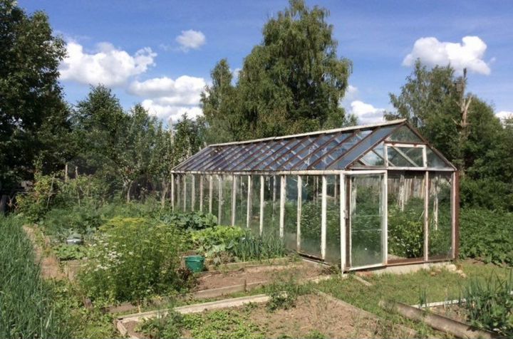 Дом 43 м² на участке 50 сот.