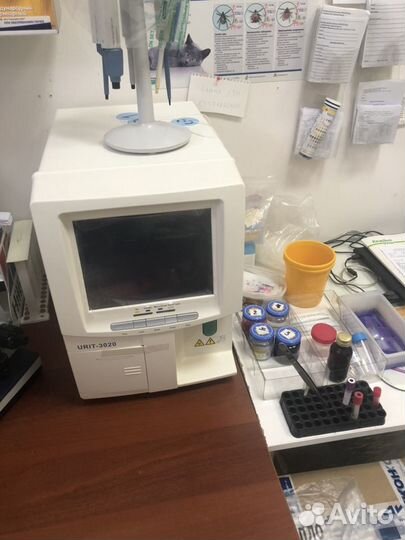 Стерилизация собак и кошек на дому