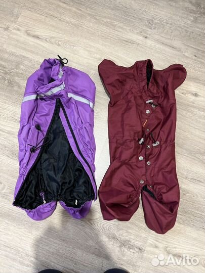 Дождевики для корги-девочки (щенок)