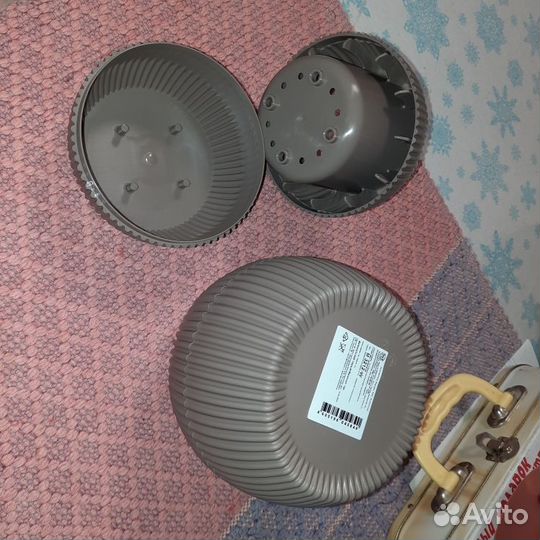 Красивые Комнатные растения для офиса для дома