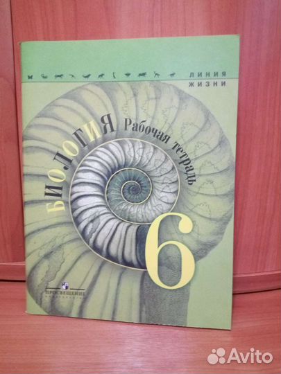 Рабочие тетради за 6 класс