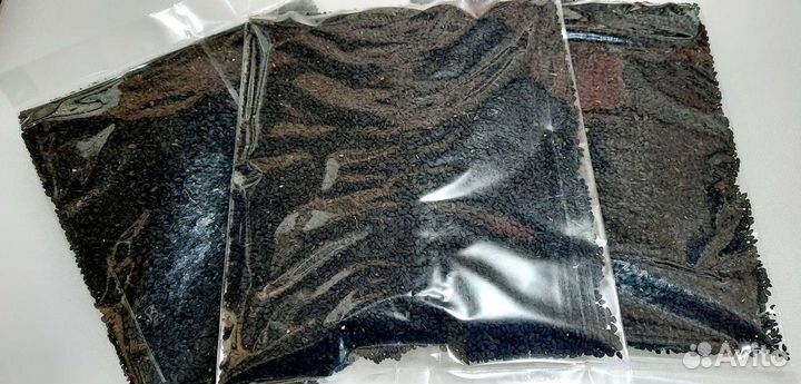 Тмин чёрный (нигелла,калинджи)