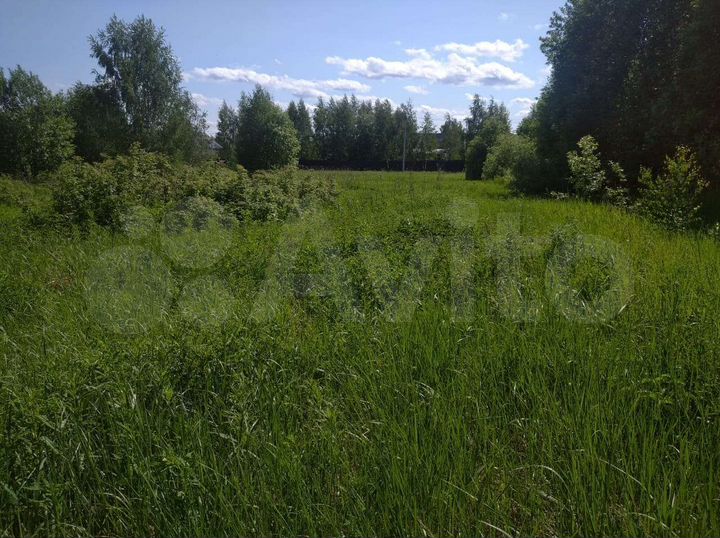 Участок 2,5 га (ИЖС)