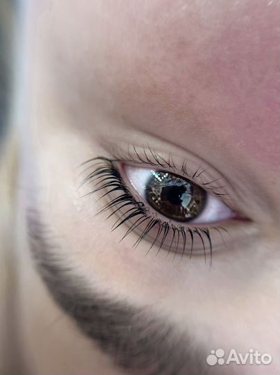 Ламинирование ресниц, брови