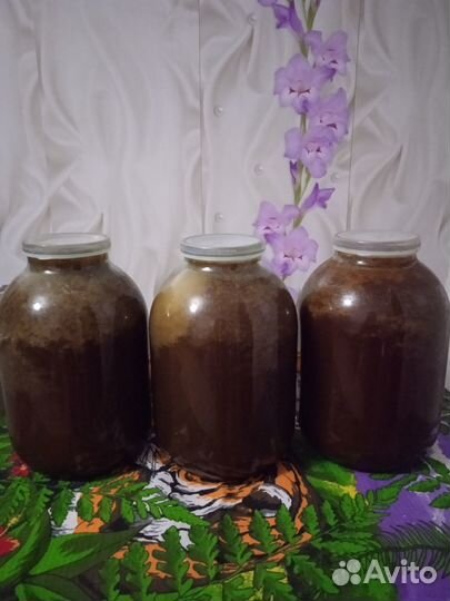 Мед гречишный, мёд липовый 2023