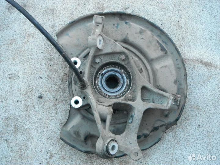 Кулак задний правый