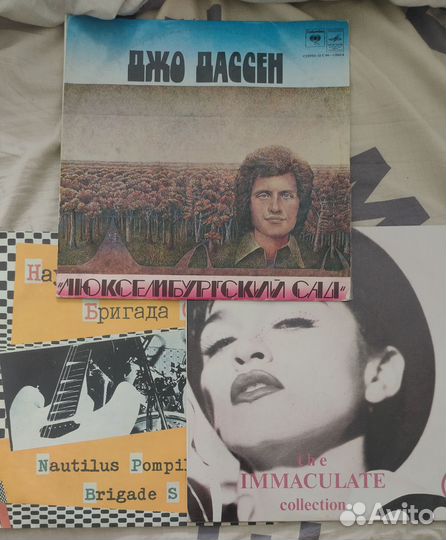 Лот для German