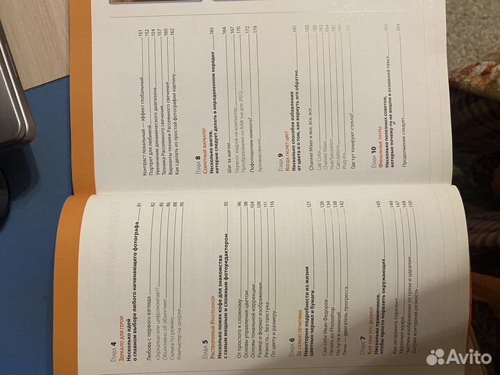 Оранжевая книга цифровой фотографии (Рудаков Д.Е.)