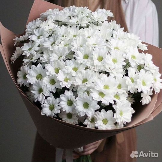 Хризантема Доставка цветов Букеты