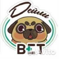 Требуется ветеринарный врач