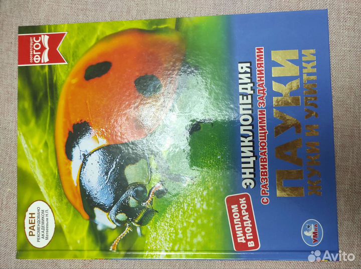 Детские книги большого формата