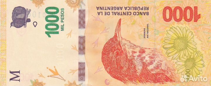 Банкноты Аргентины