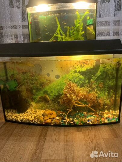 Аквариум