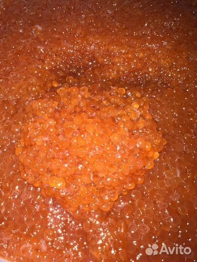 Красная икра 2023