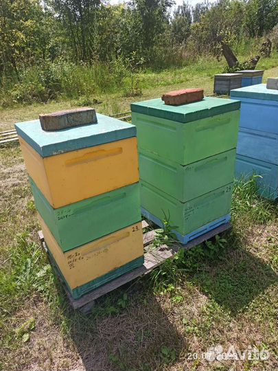 Ульи Пеноулик Рута 10шт