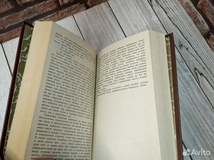 Черный тюльпан. Александр Дюма