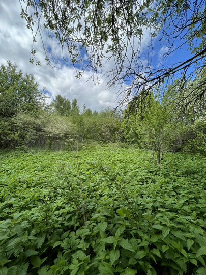 Участок 16,5 сот. (ИЖС)