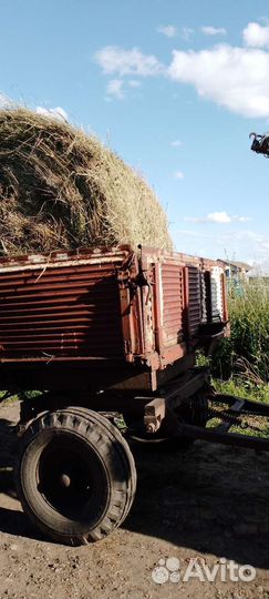 Сено луговое в тюках