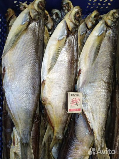 Плотва/вобла и чехонь вяленая от производителя