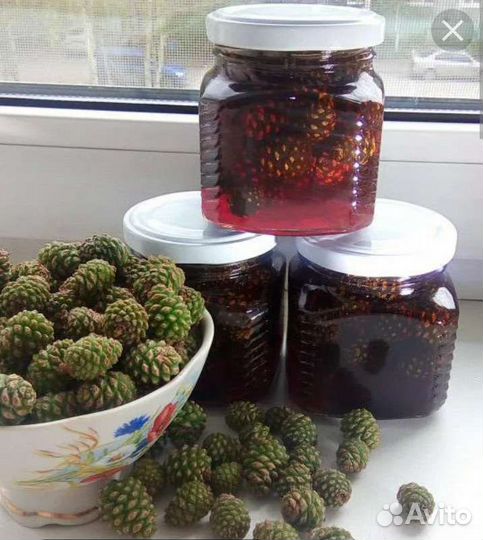 Варенье из сосновых шишек