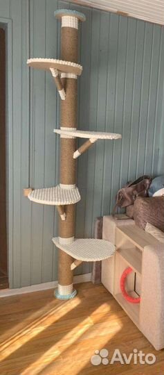 Когтеточка