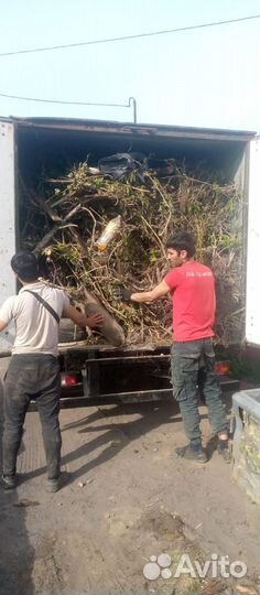 Вывоз мусора газель