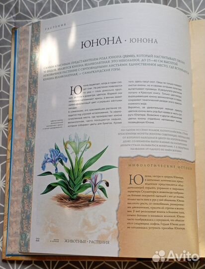 Книга о растениях и животных. Мифы и легенды