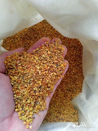 Пыльца пчелиная