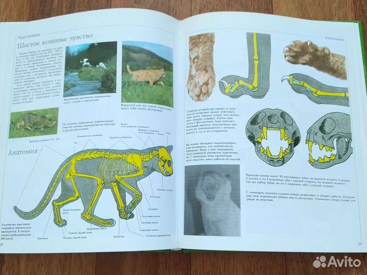 Книги, журнал про кошек и собак