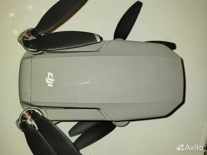 Dji mini возможен дербан