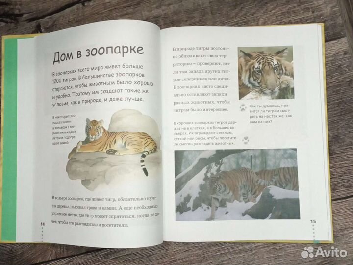 Энциклопедия прогулка по зоопарку шимпанзе панда