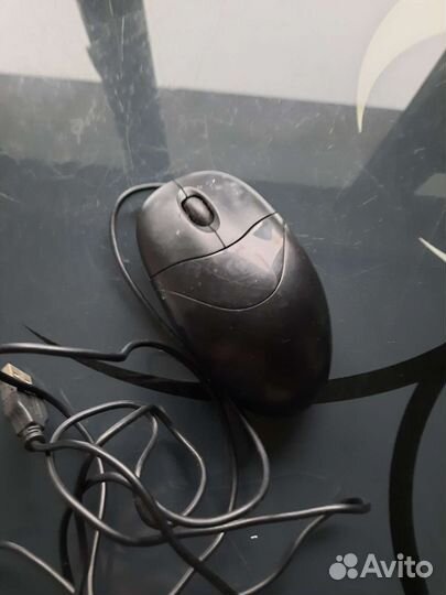 Мышка для компьютера