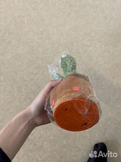 Танцующий кактус