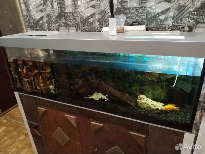 Аквариум