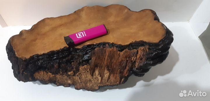 Трутовик для творчества