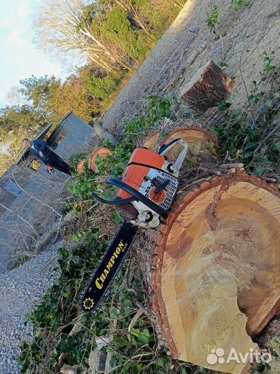 Спил деревьев Расчистка участков